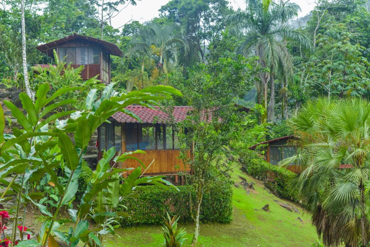 Pacuare River Lodge Bajo Tigre Luaran gambar
