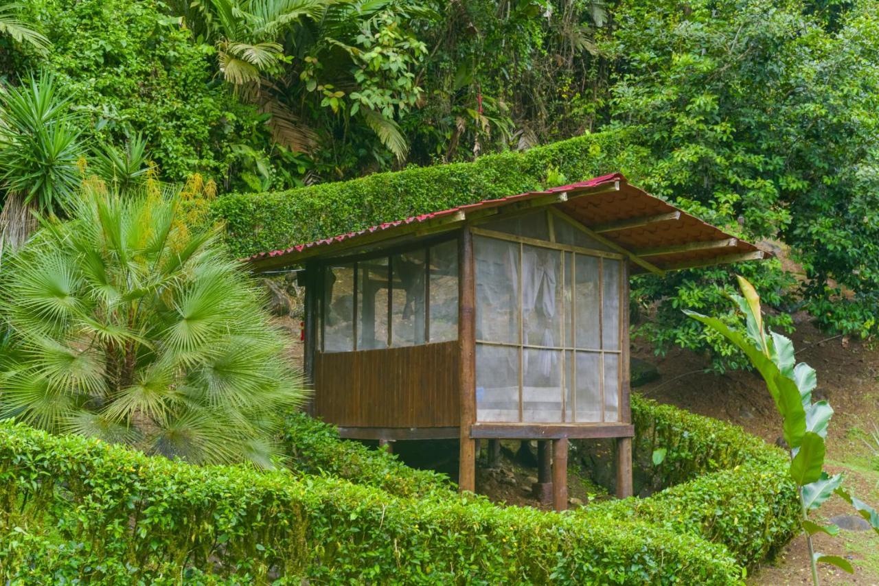 Pacuare River Lodge Bajo Tigre Luaran gambar