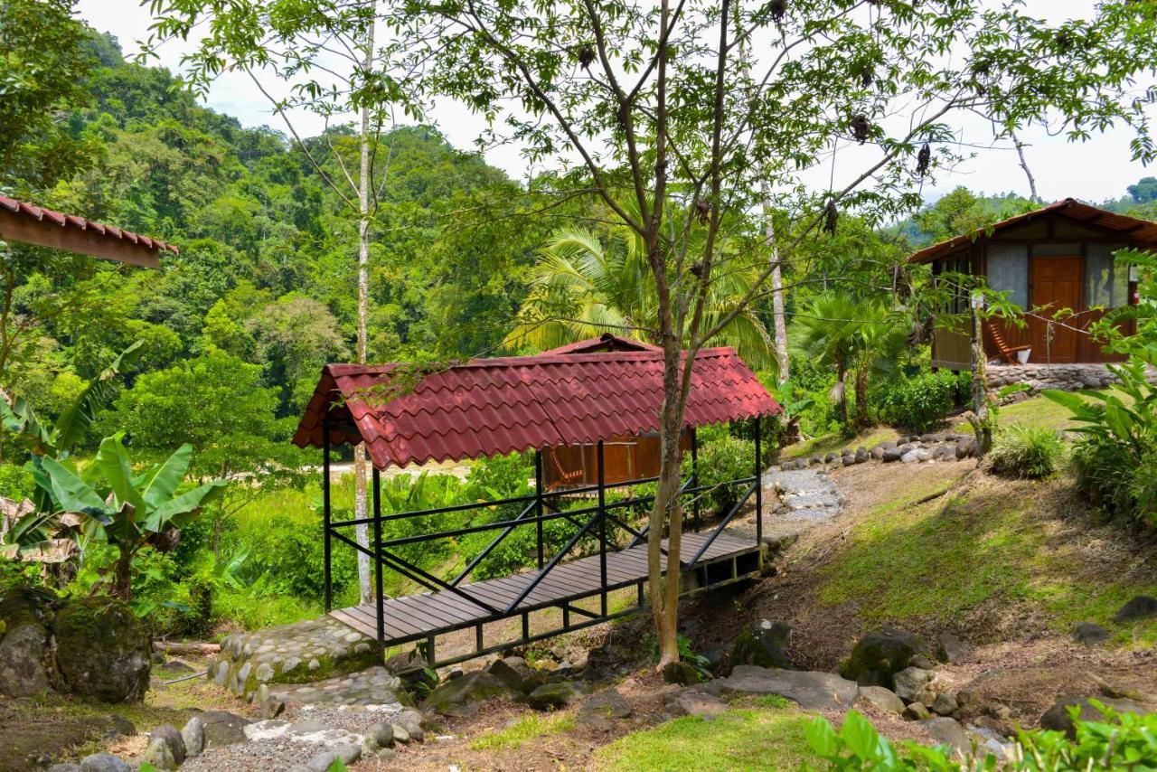 Pacuare River Lodge Bajo Tigre Luaran gambar