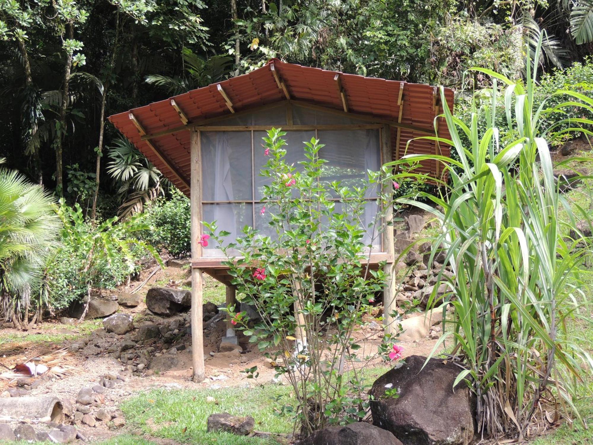 Pacuare River Lodge Bajo Tigre Luaran gambar