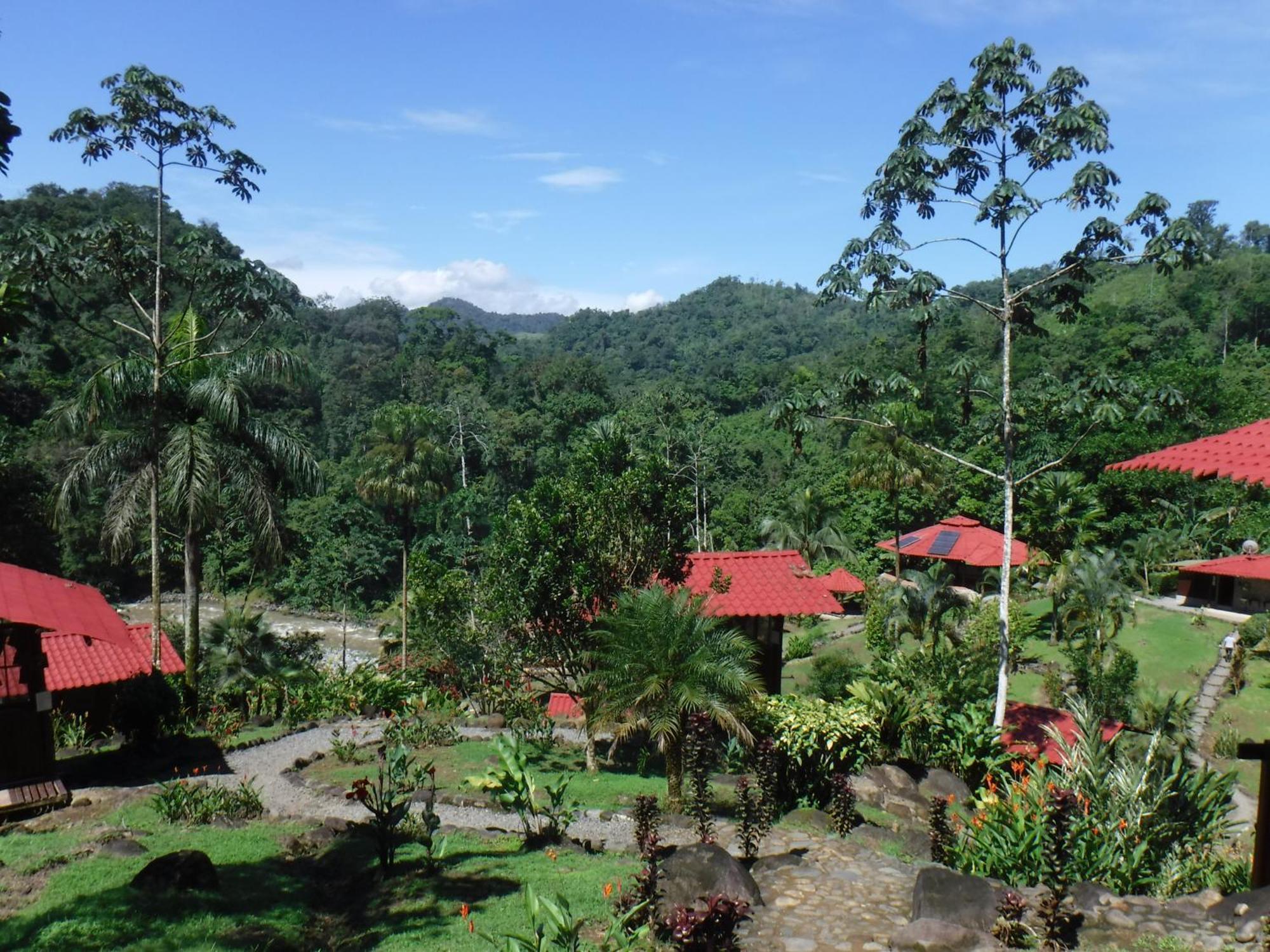 Pacuare River Lodge Bajo Tigre Luaran gambar