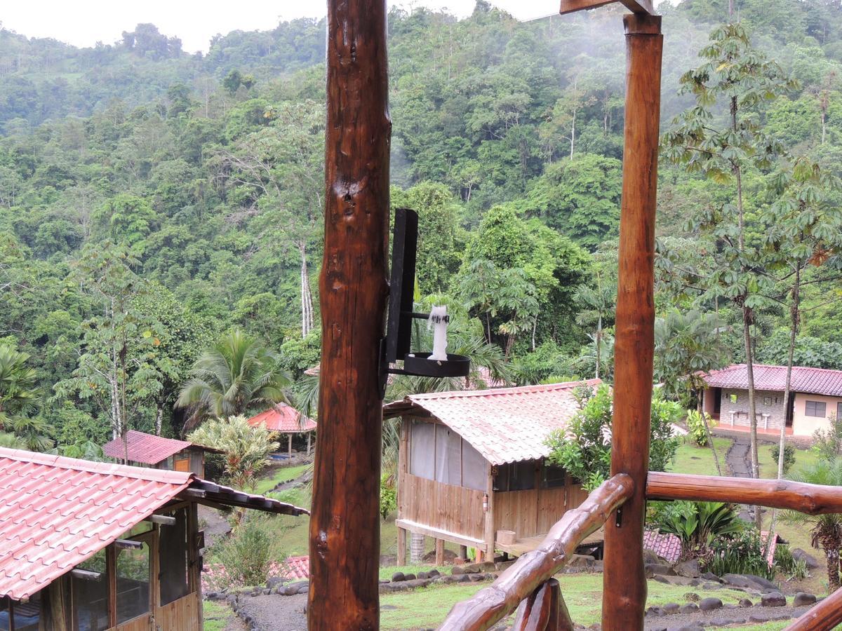 Pacuare River Lodge Bajo Tigre Luaran gambar
