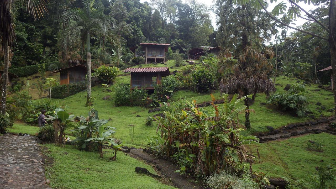 Pacuare River Lodge Bajo Tigre Luaran gambar