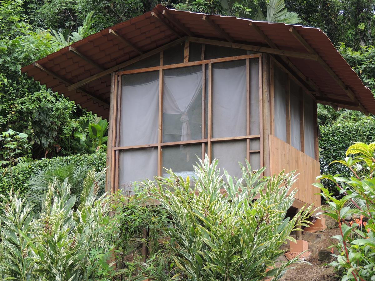 Pacuare River Lodge Bajo Tigre Luaran gambar