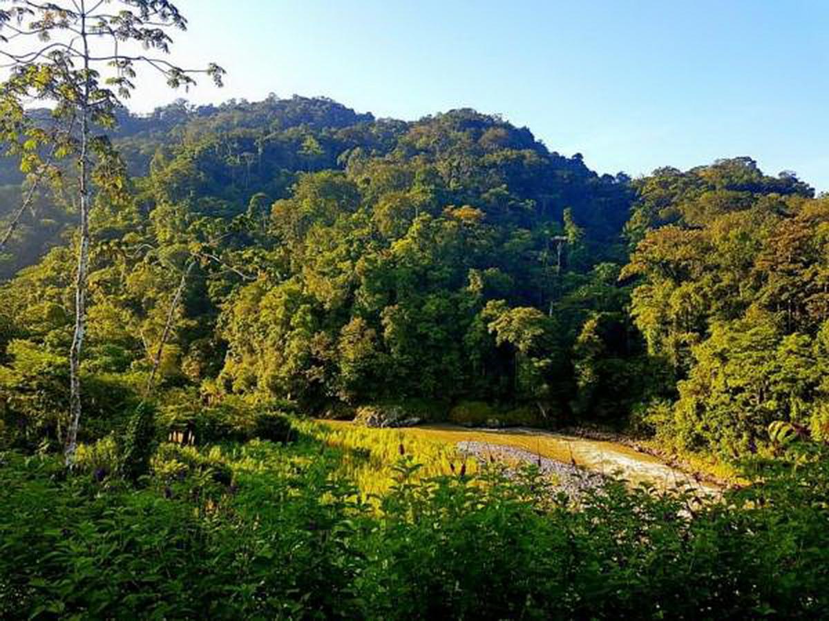 Pacuare River Lodge Bajo Tigre Luaran gambar