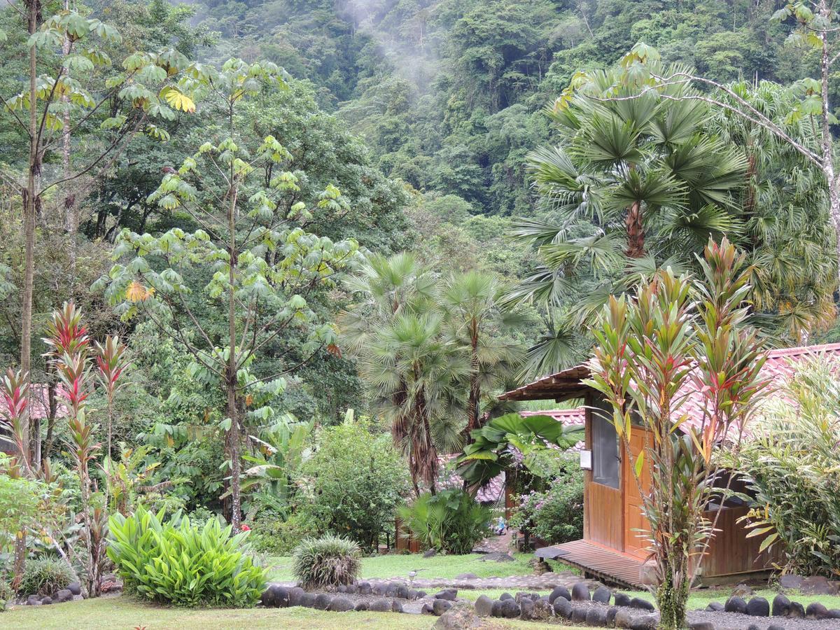 Pacuare River Lodge Bajo Tigre Luaran gambar