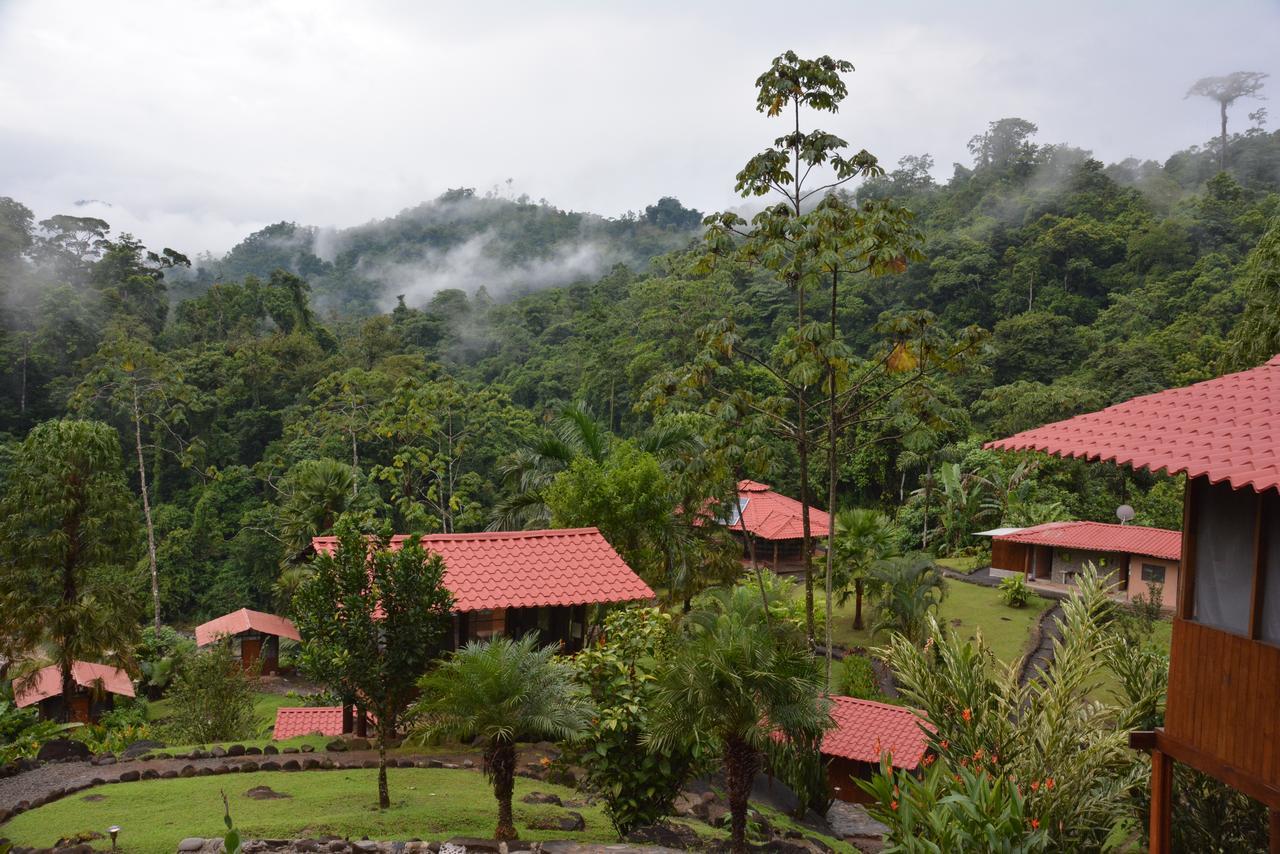 Pacuare River Lodge Bajo Tigre Luaran gambar