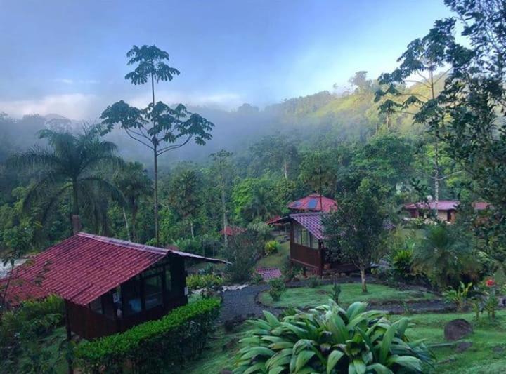 Pacuare River Lodge Bajo Tigre Luaran gambar