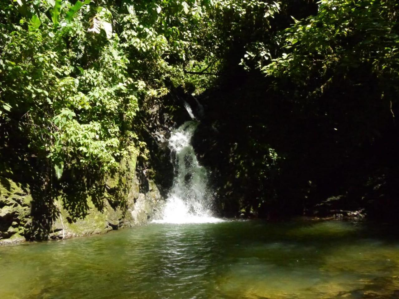 Pacuare River Lodge Bajo Tigre Luaran gambar